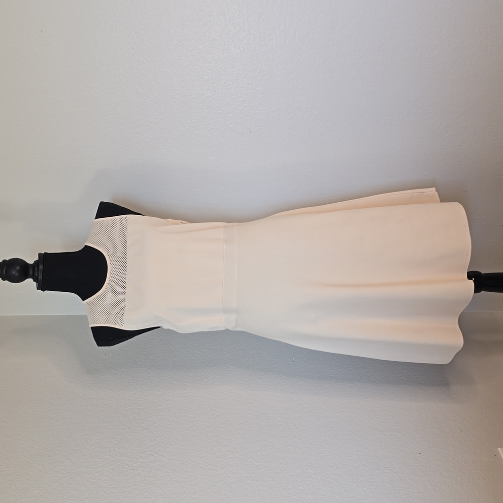 Ann Taylor Creme Knit Dress Size LP